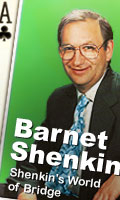 Barnet Shenkin's website